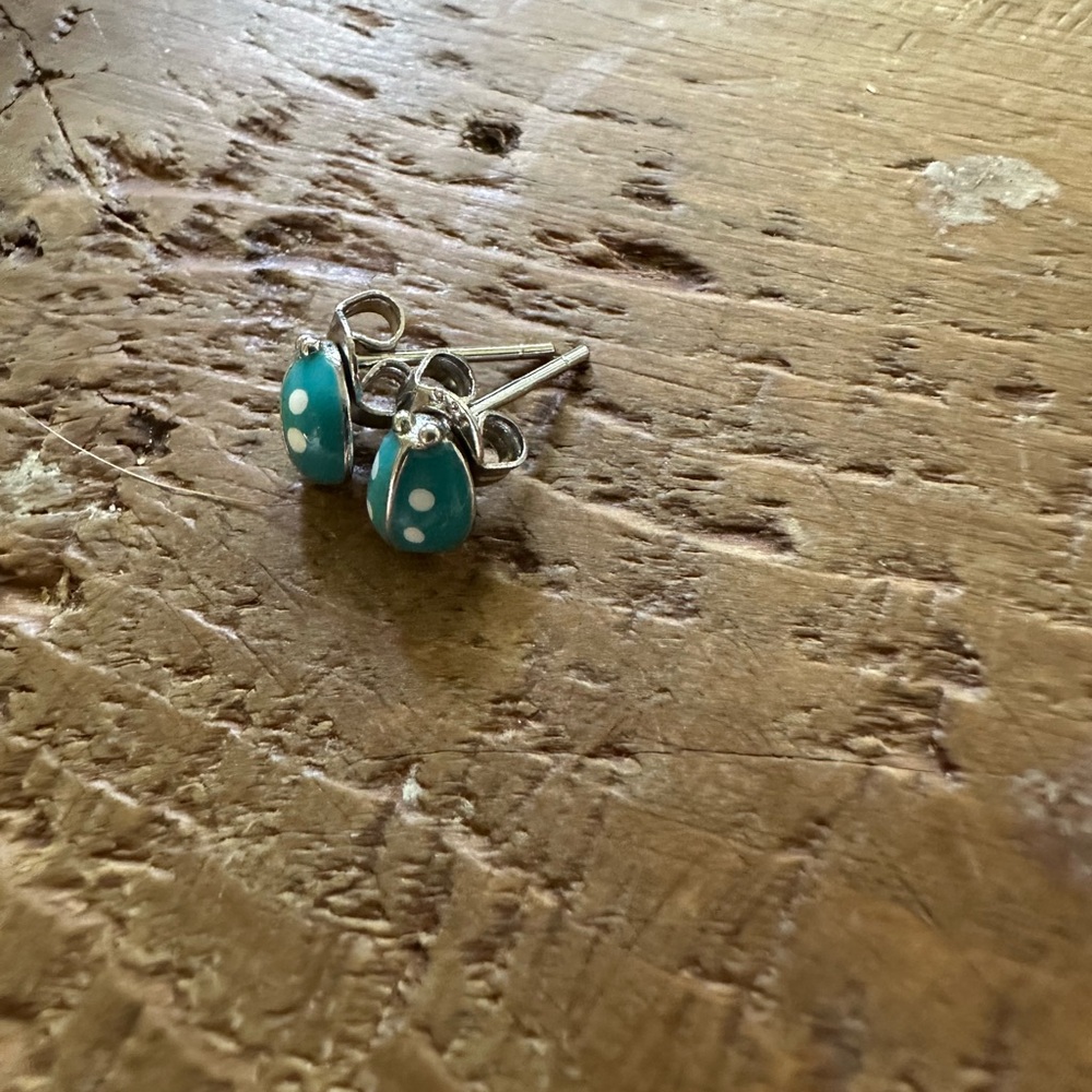 Elegant Silver and Turquoise Ladybug Earrings - Picture 2 of 2